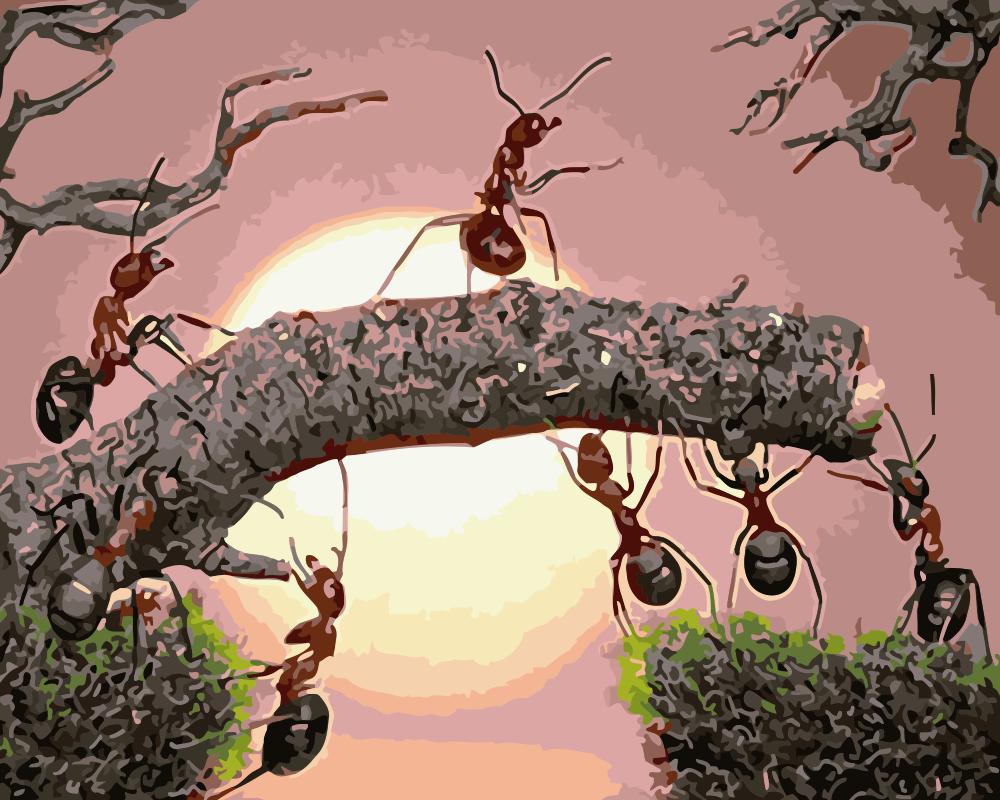 ants on a tree