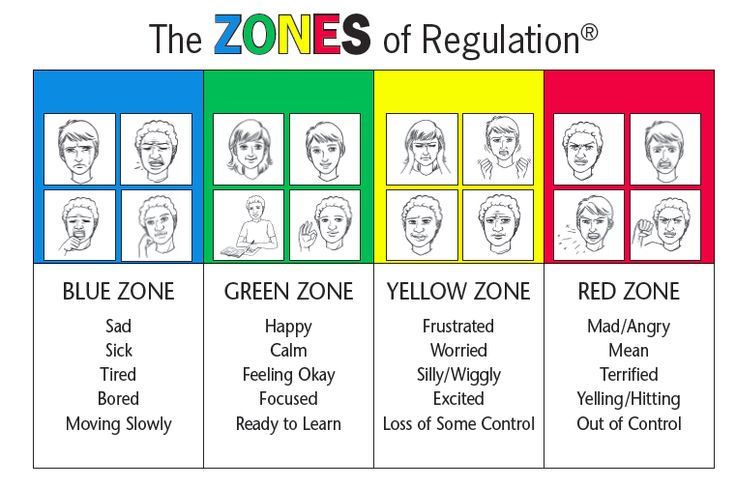 The zones of regulation