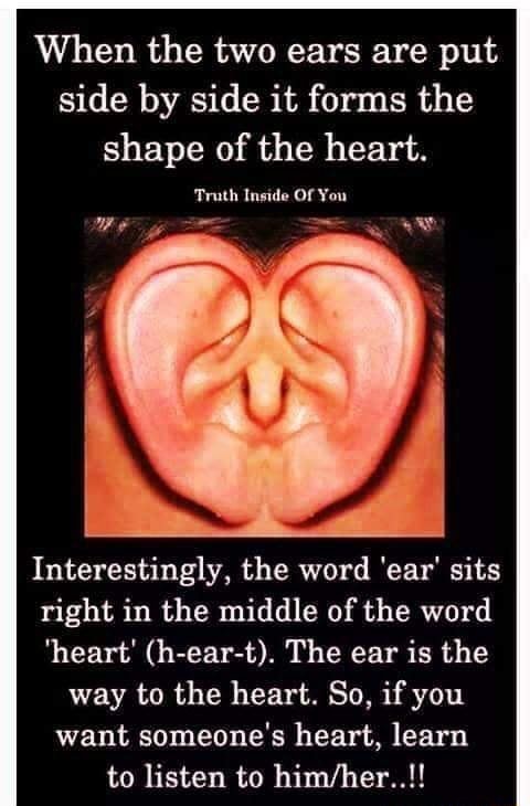 Two ears make a heart